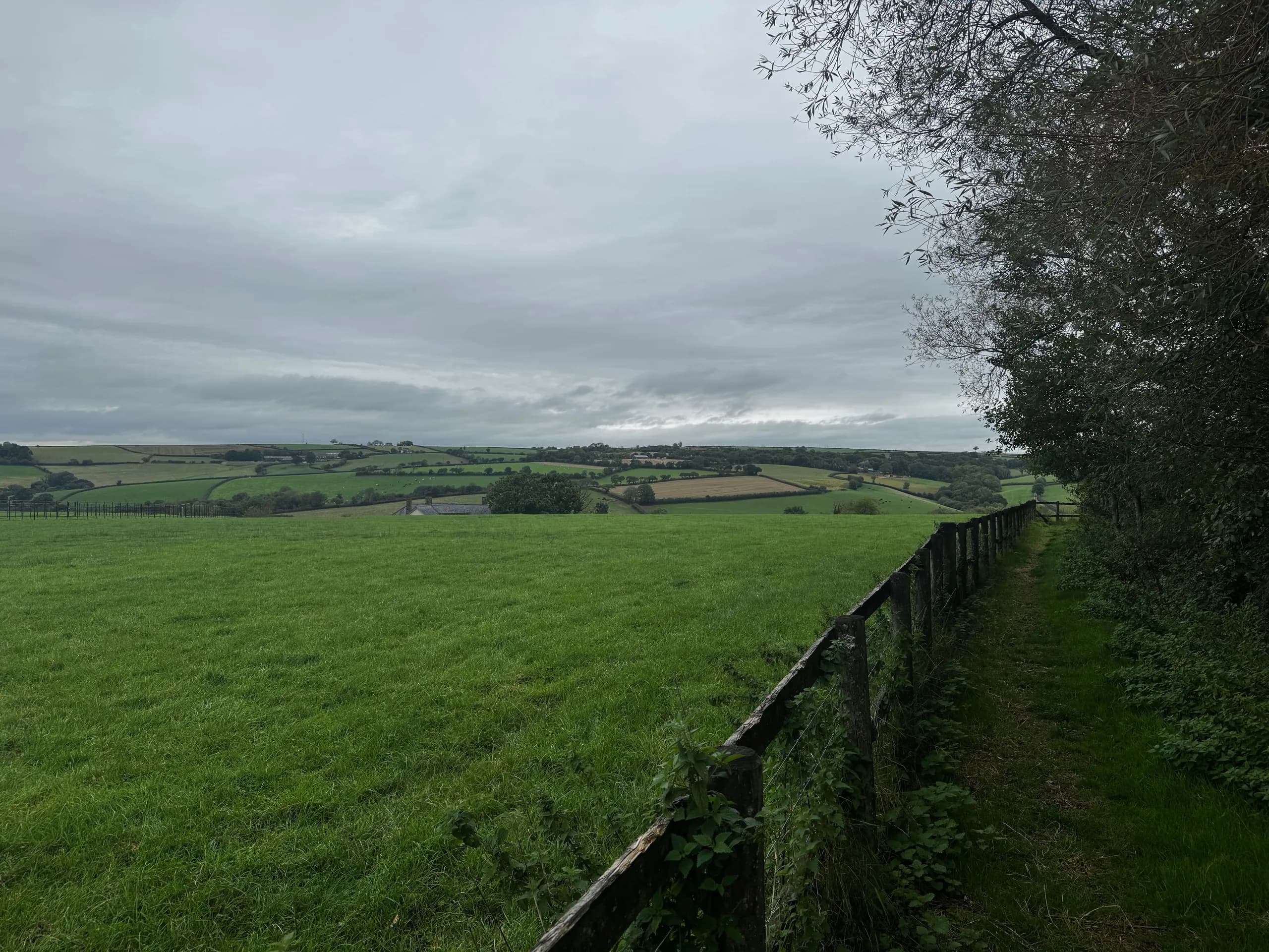 A field edge near King’s Nympton, in North Devon