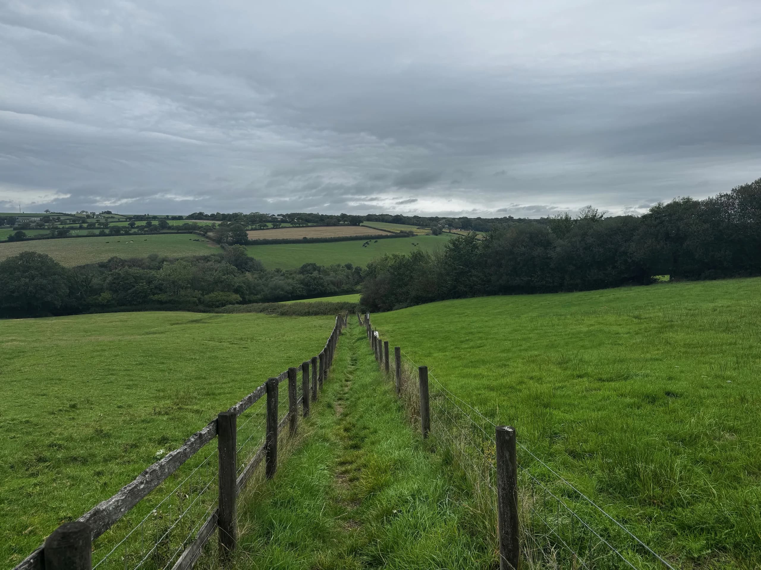 A path down into the valley near King’s Nympton, in North Devon