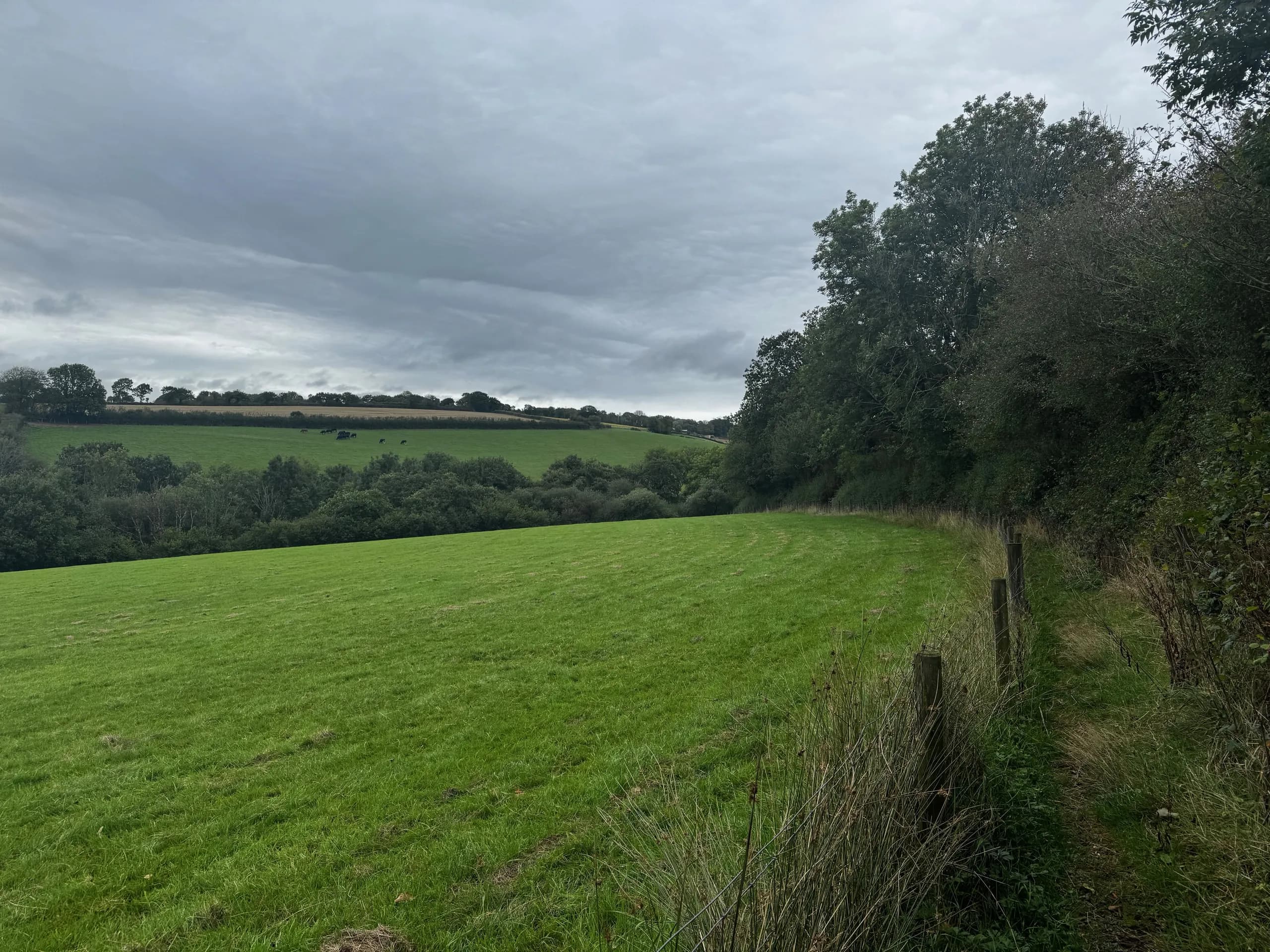 A mown field near King’s Nympton, in North Devon