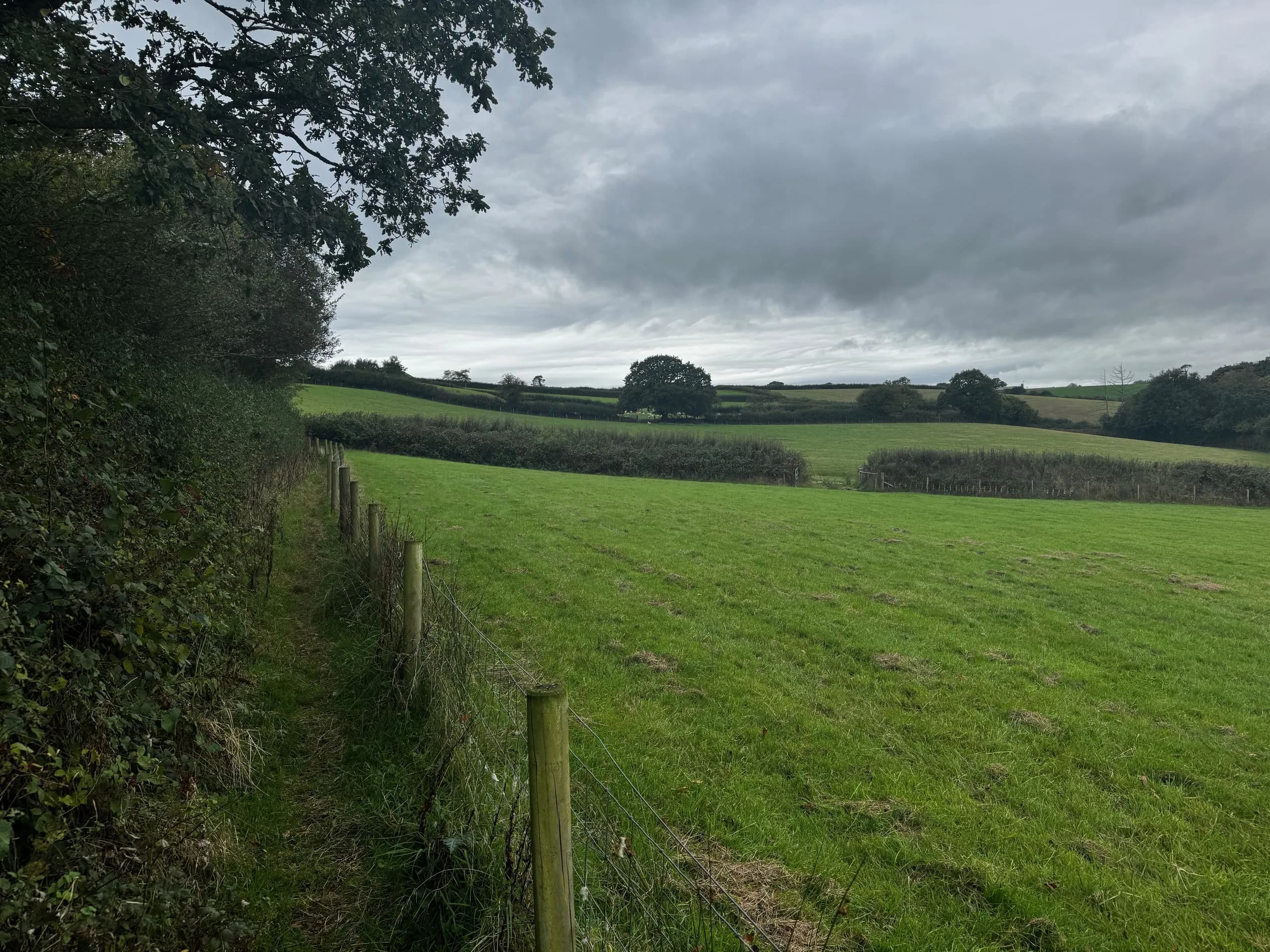 Hedged fields under a grey sky near King's Nympton