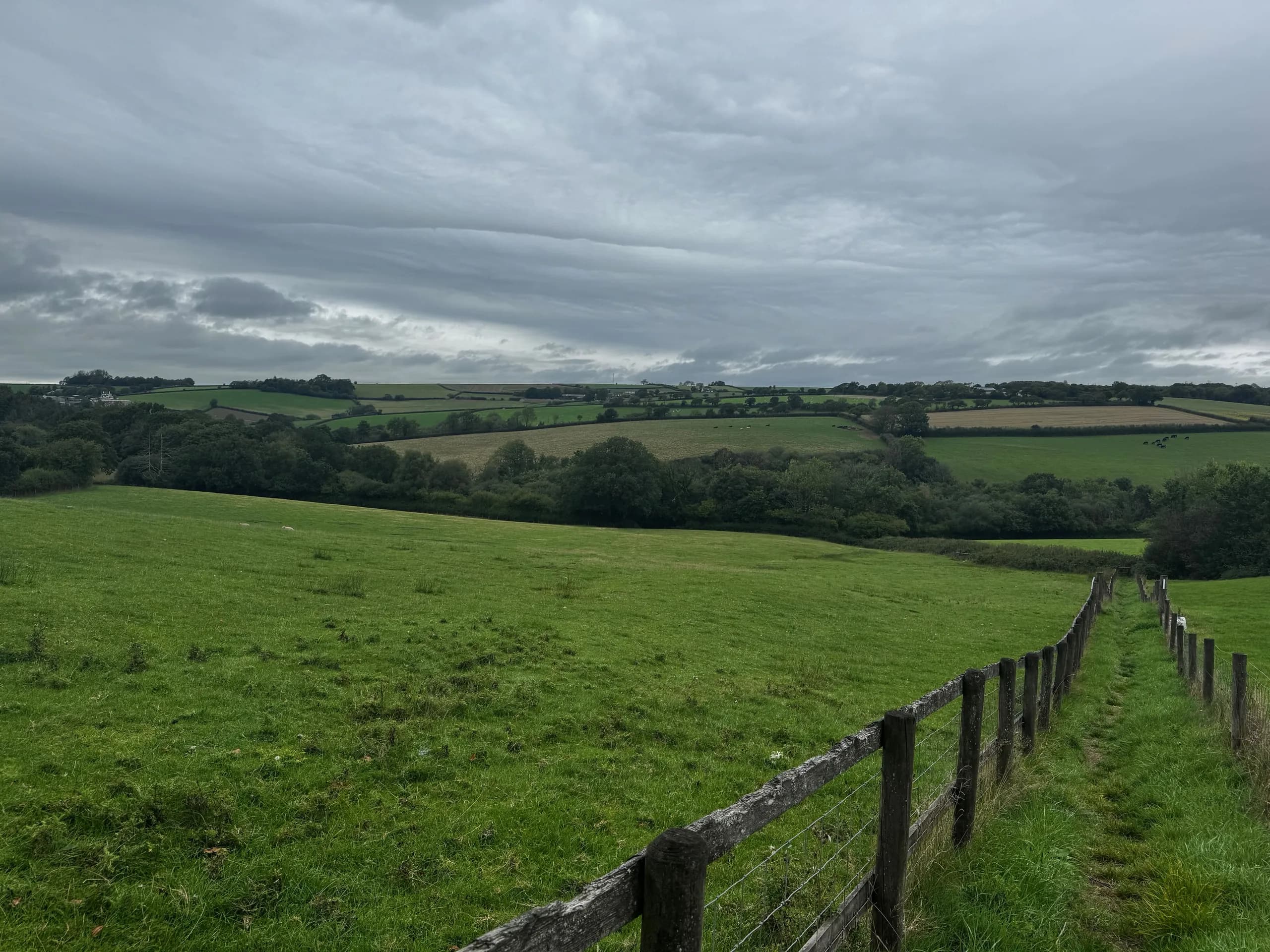 Fields near King’s Nympton, in North Devon