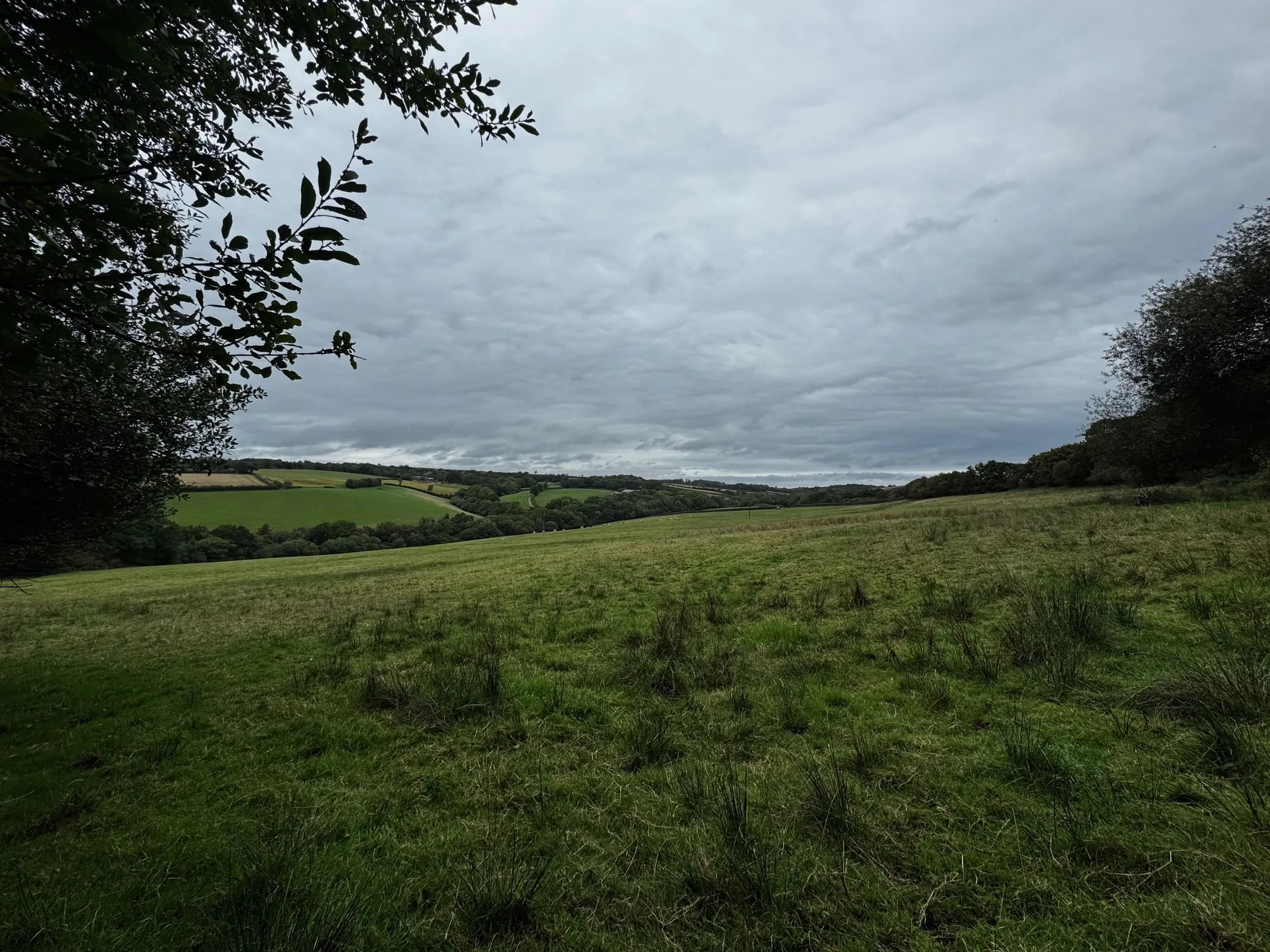 The valley from under the trees, near King’s Nympton, in North Devon